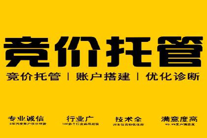 竞价排名案例分析：教育行业